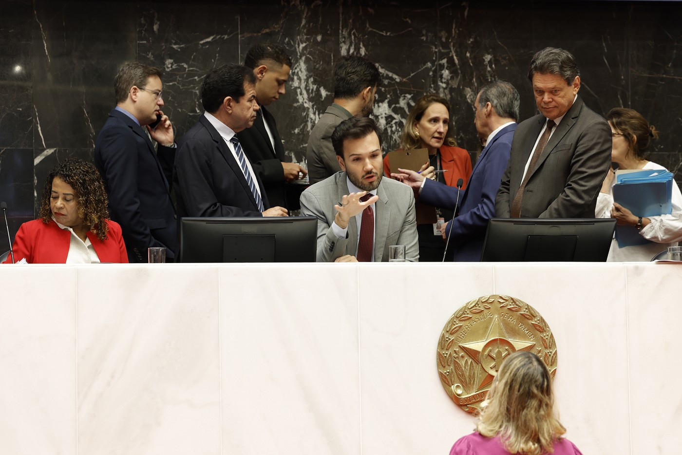 Reunião Extraordinária - manhã - análise de proposições