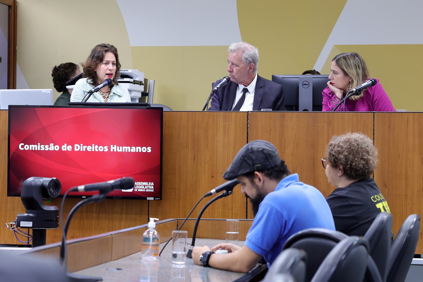 Comissão de Direitos Humanos - análise de proposições