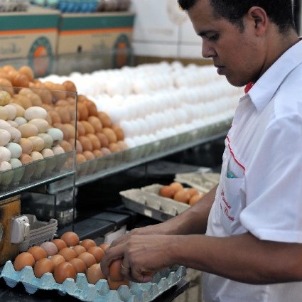 Flexibilidade é defendida contra crise no mercado de trabalho Flexibilidade é defendida contra crise no mercado de trabalho