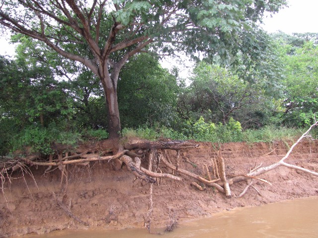 Projeto Cidadania Ribeirinha no município de Itacarambi