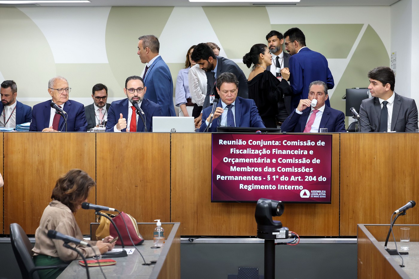 Comissão de Fiscalização Financeira e Orçamentária e Comissão de Membros das Comissões Permanentes - Art. 204 do Regimento Interno