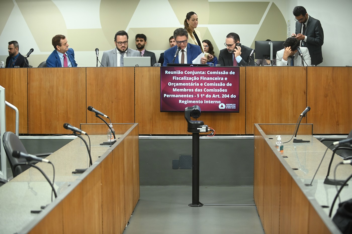 Comissão de Fiscalização Financeira e Orçamentária, Comissão de Membros das Comissões Permanentes - Art. 204 do Regimento Interno