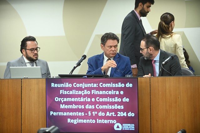 Comissão de Fiscalização Financeira e Orçamentária, Comissão de Membros das Comissões Permanentes - Art. 204 do Regimento Interno