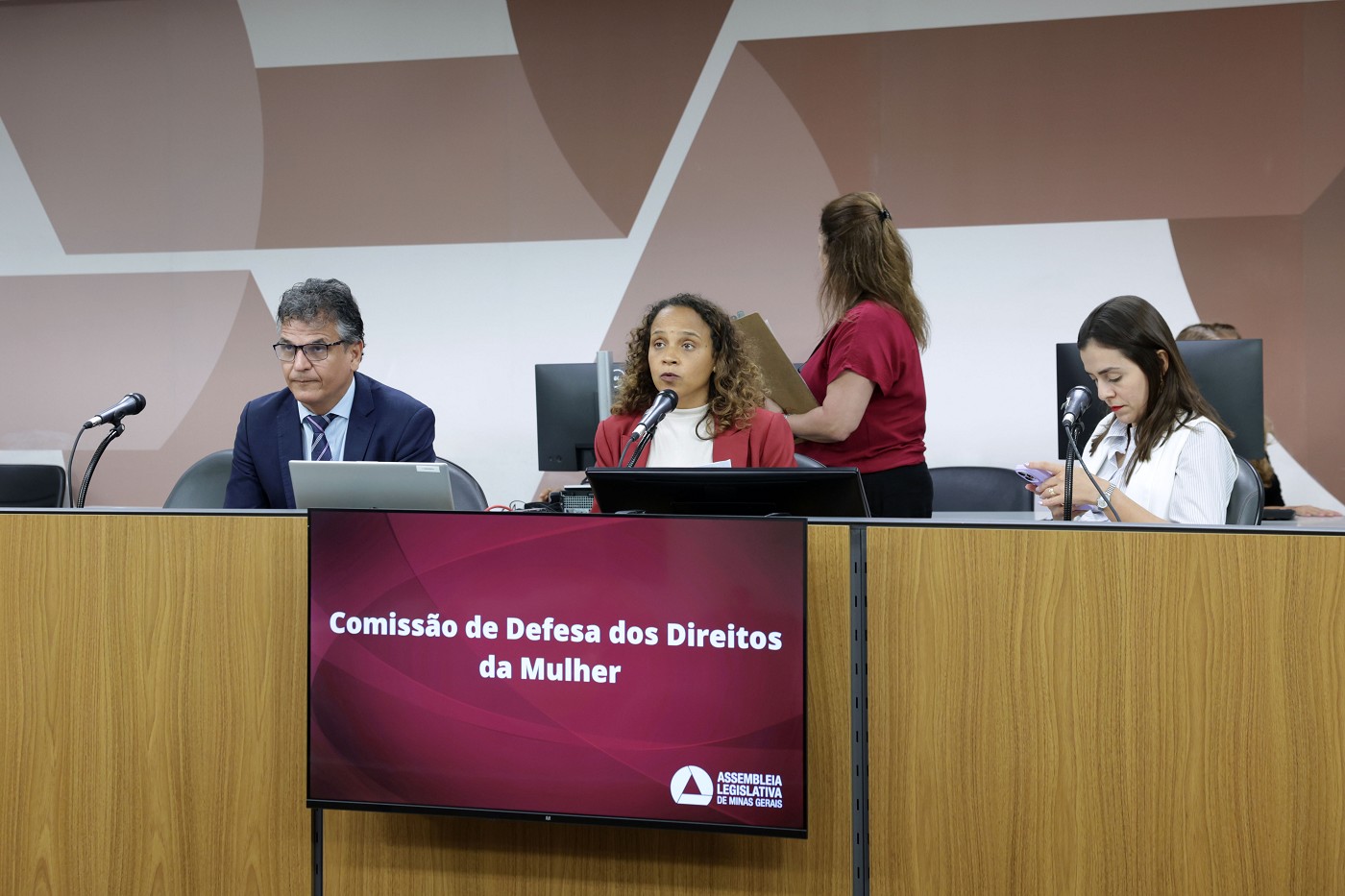 Comissão de Defesa dos Direitos da Mulher - análise de proposições