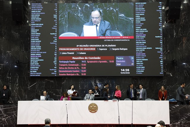 Reunião Ordinária - Plenário - análise de proposições