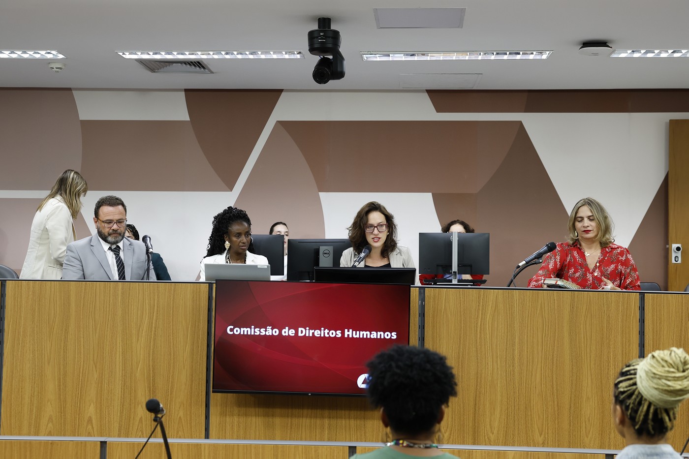 Comissão de Direitos Humanos - análise de proposições