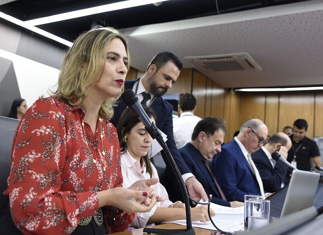 Comissão de Educação, Ciência e Tecnologia - debate sobre o plano de trabalho para a educação básica e superior no Estado