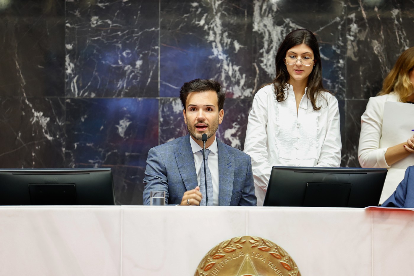 Reunião Ordinária de Plenário - análise de proposições