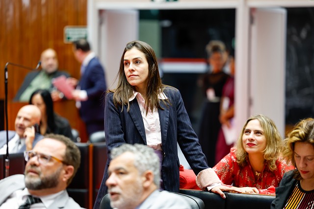 Reunião Ordinária de Plenário - análise de proposições