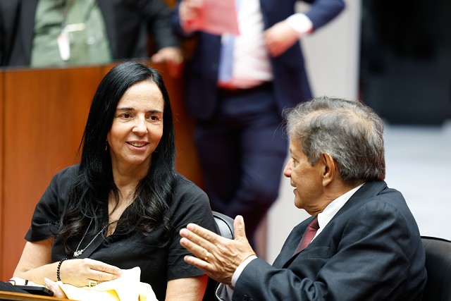Reunião Ordinária de Plenário - análise de proposições