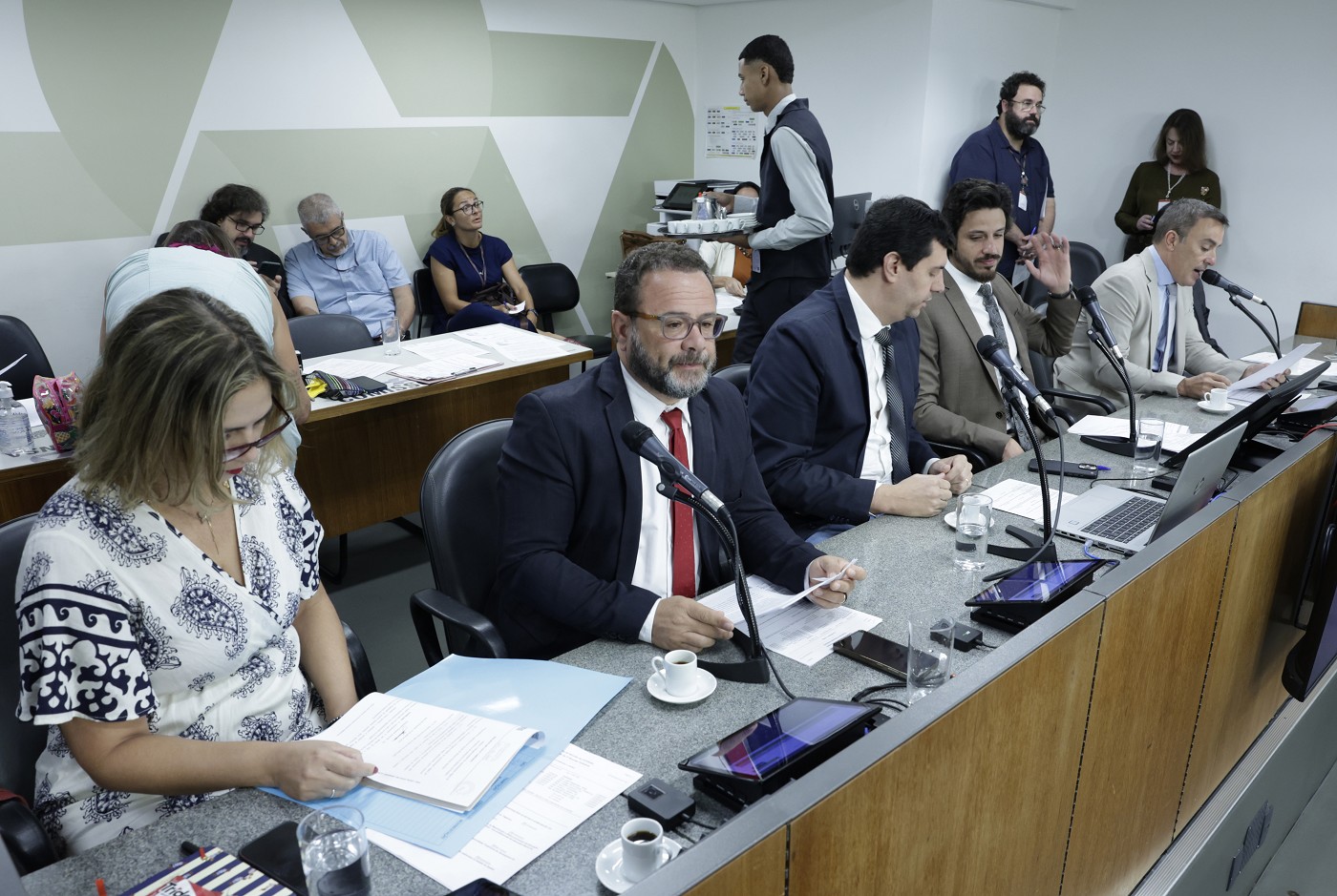 Comissão de Constituição e Justiça - análise de proposições