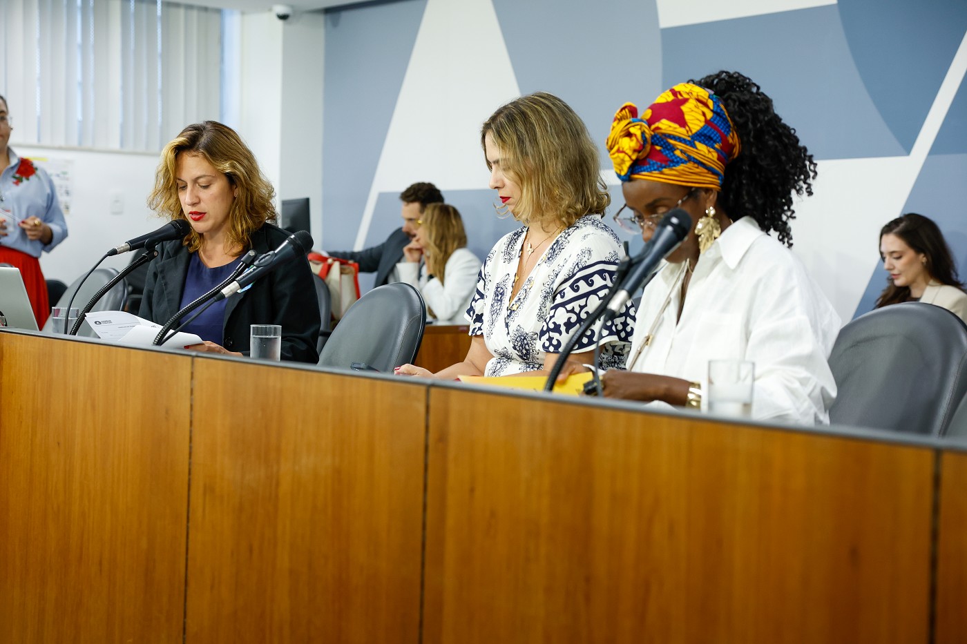 Comissão de Direitos Humanos - análise de proposições