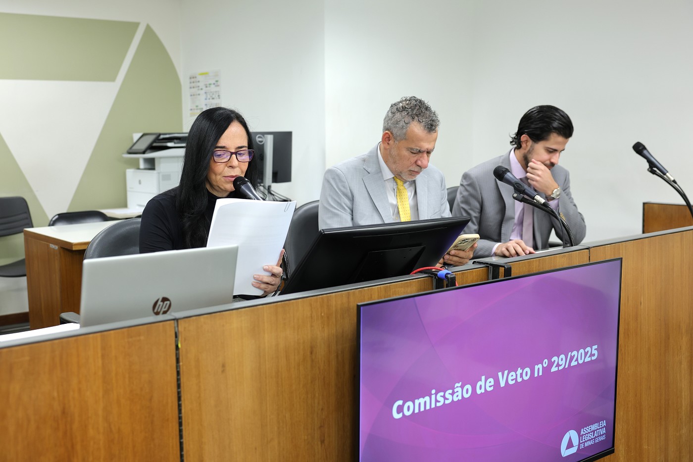 Comissão Especial - Análise de Veto nº 29/2025