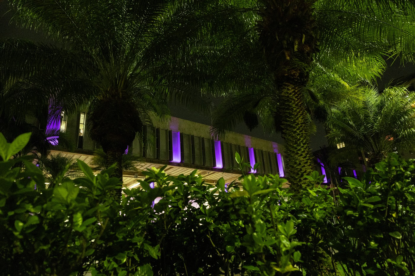 Laços da Consciência (Dia Mundial da Obesidade)