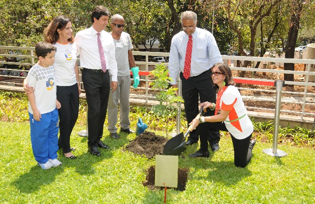 Uma muda de pau-brasil foi plantada no jardim do Hall das Bandeiras
