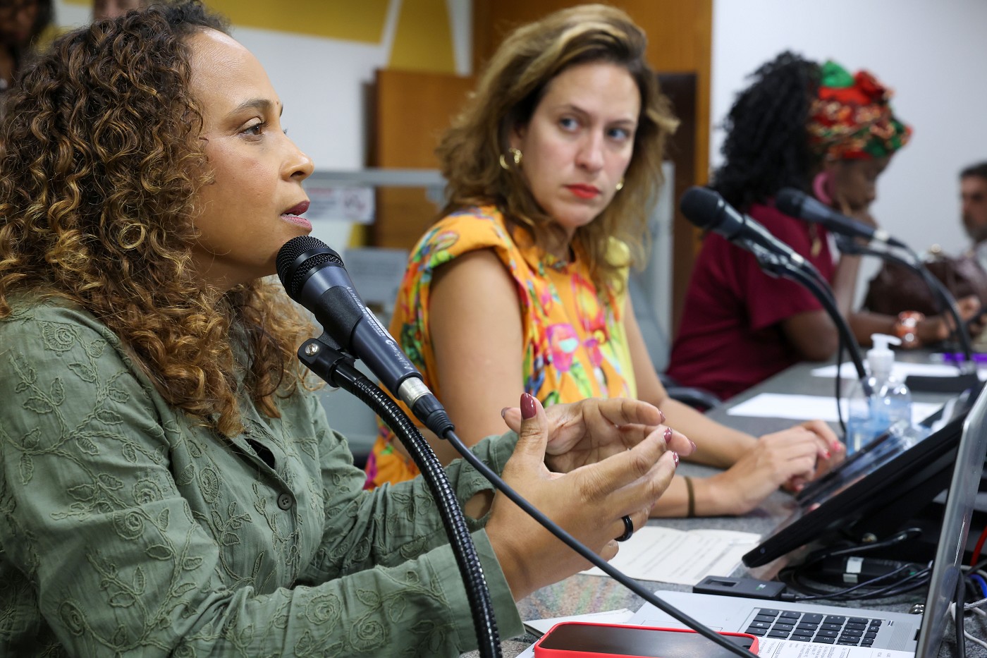 Comissão de Direitos Humanos - análise de proposições