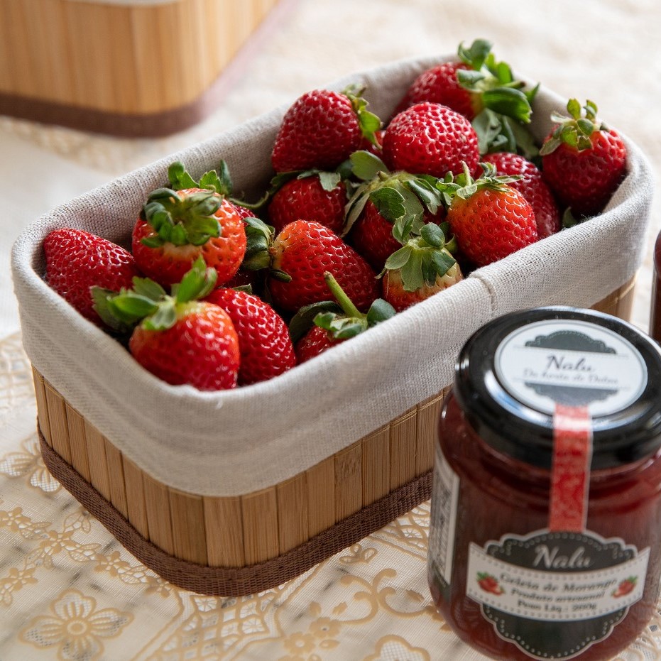 Importação de morango afeta produtores mineiros