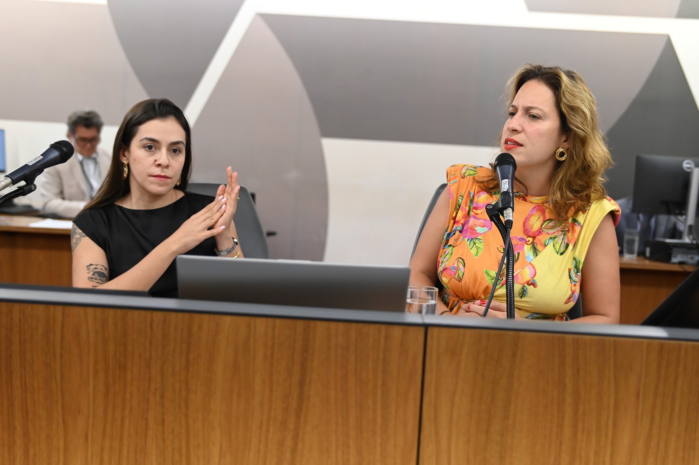 Comissão de Cultura - debate sobre o planejamento do Carnaval de 2026 no Estado