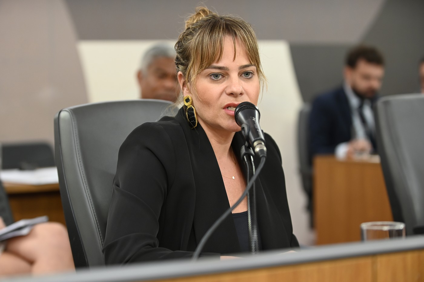 Comissão de Cultura - debate sobre o planejamento do Carnaval de 2026 no Estado