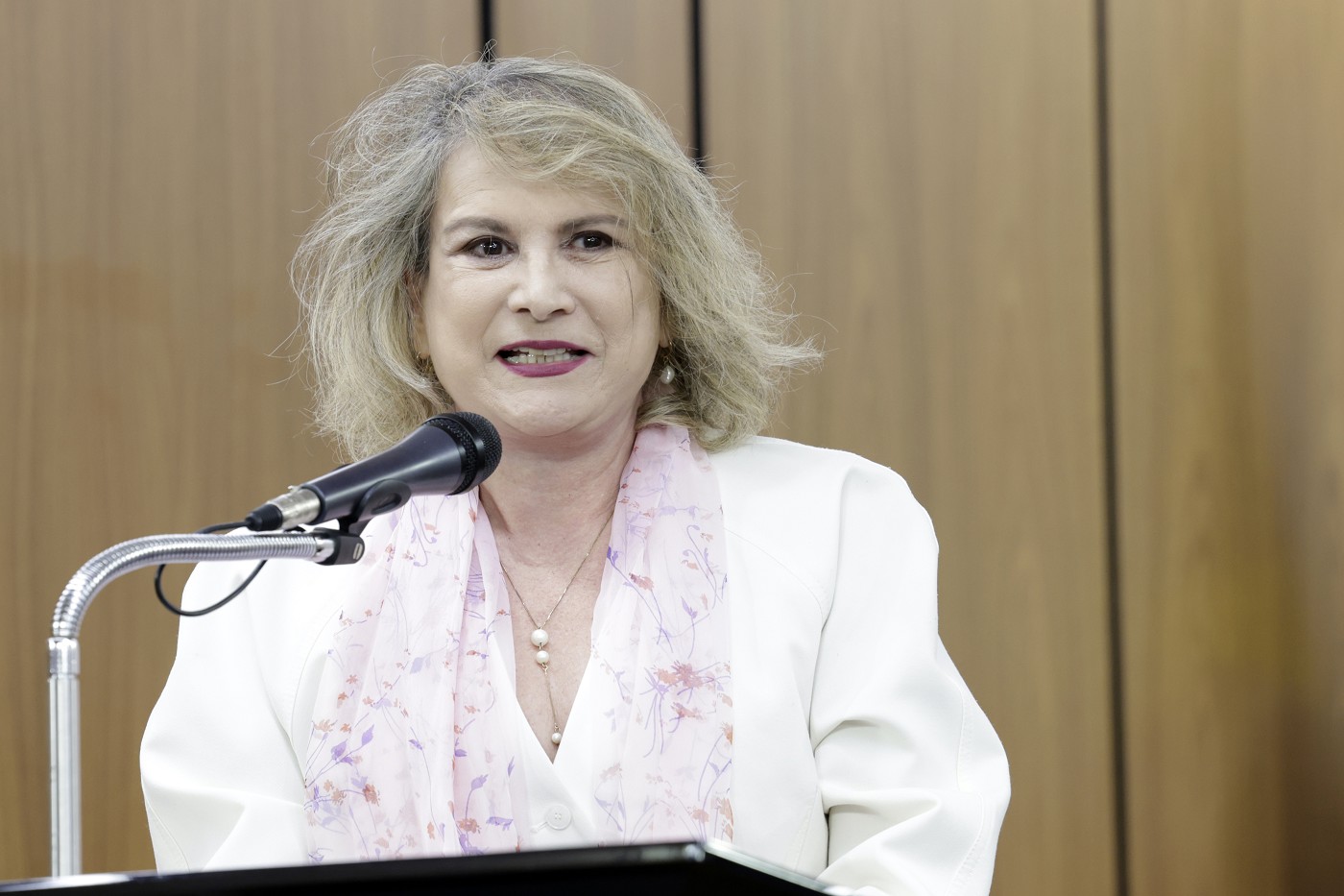 Comissão de Educação, Ciência e Tecnologia - debate sobre critérios de promoção nas universidades estaduais