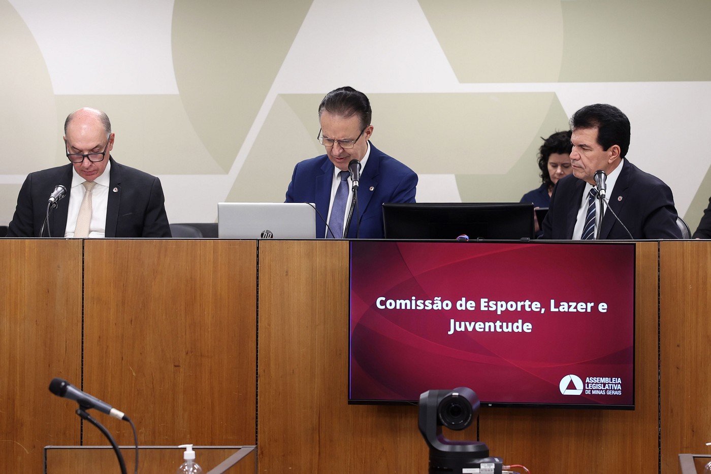 Comissão de Esporte, Lazer e Juventude - análise de proposições