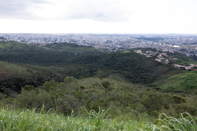Comissão de Meio Ambiente e Desenvolvimento Sustentável - visita à Mata da Baleia