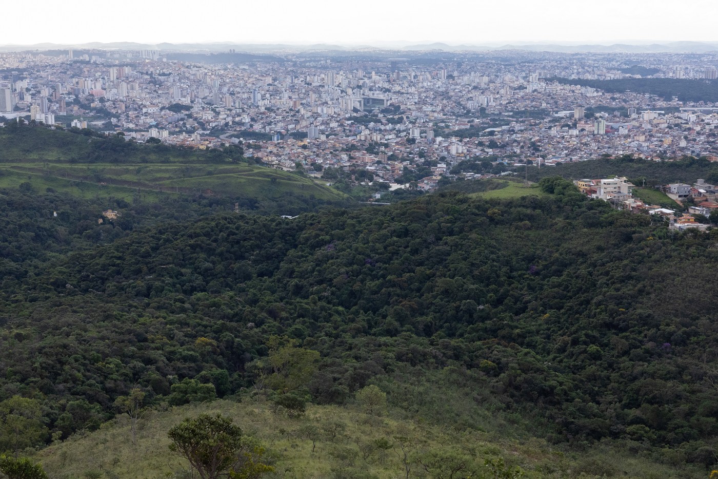 Comissão de Meio Ambiente e Desenvolvimento Sustentável - visita à Mata da Baleia