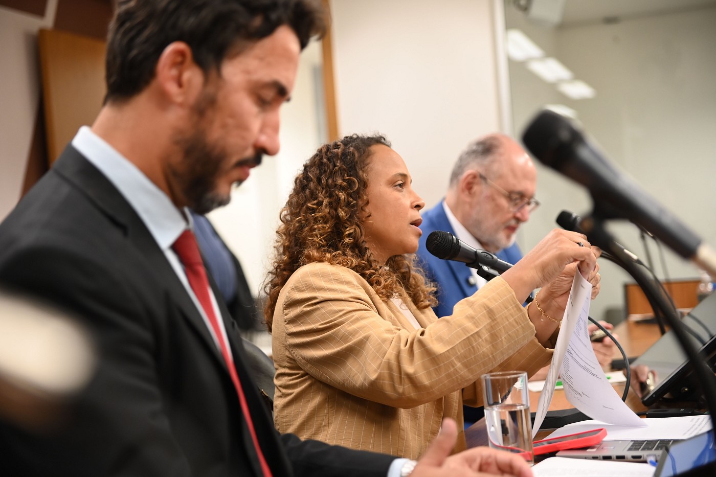 Comissão de Defesa dos Direitos da Mulher - análise de proposições