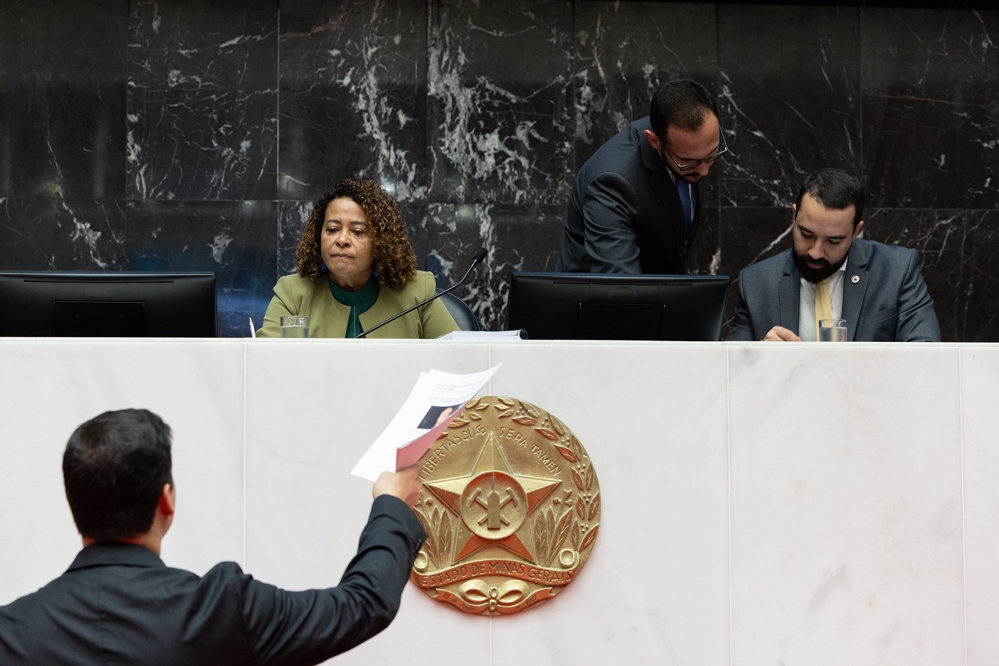 Reunião Ordinária - tarde - análise de proposições