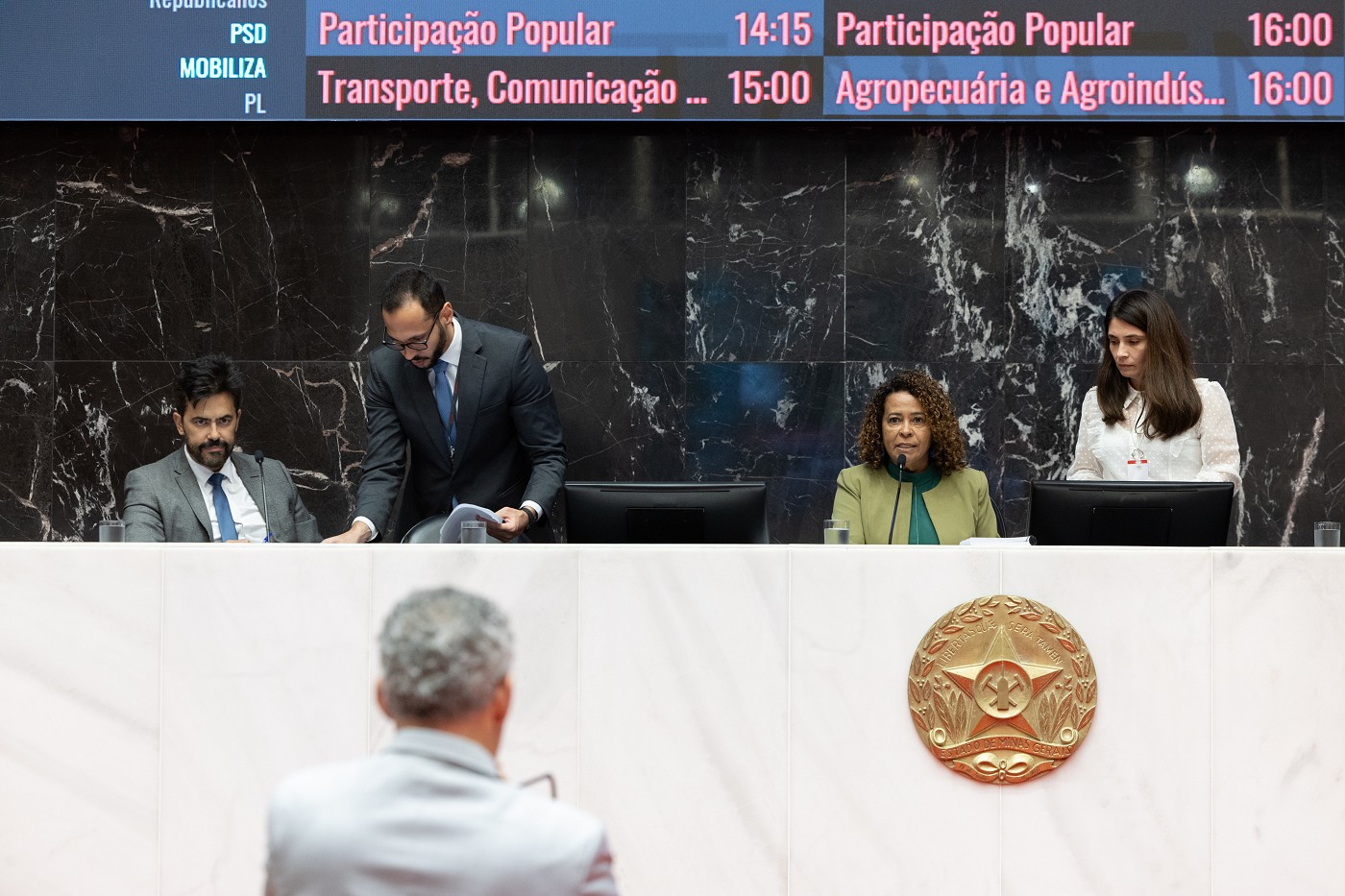 Reunião Ordinária - tarde - análise de proposições