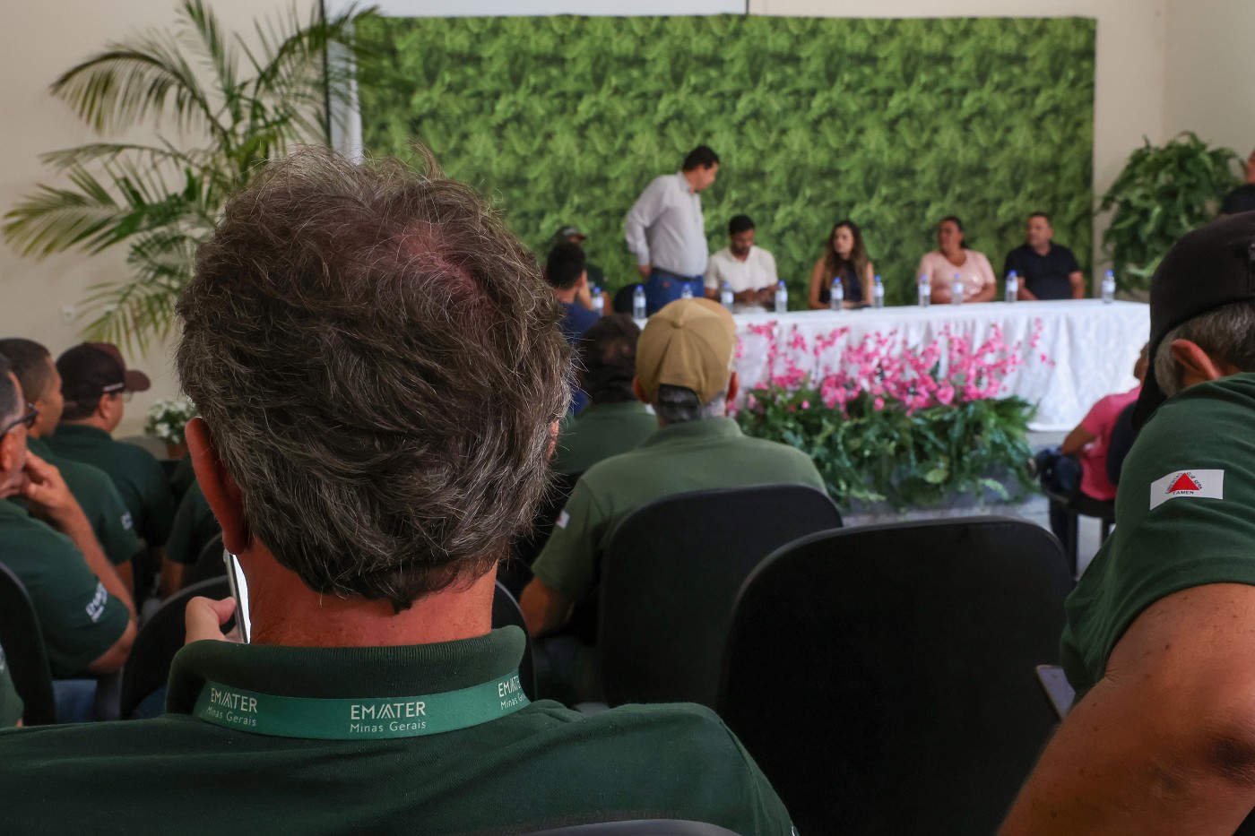 Mirabela - Projeto Vitrine de Barraginhas