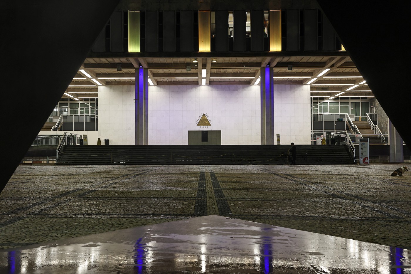 Laços da Consciência - Dia Internacional da Síndrome da Down