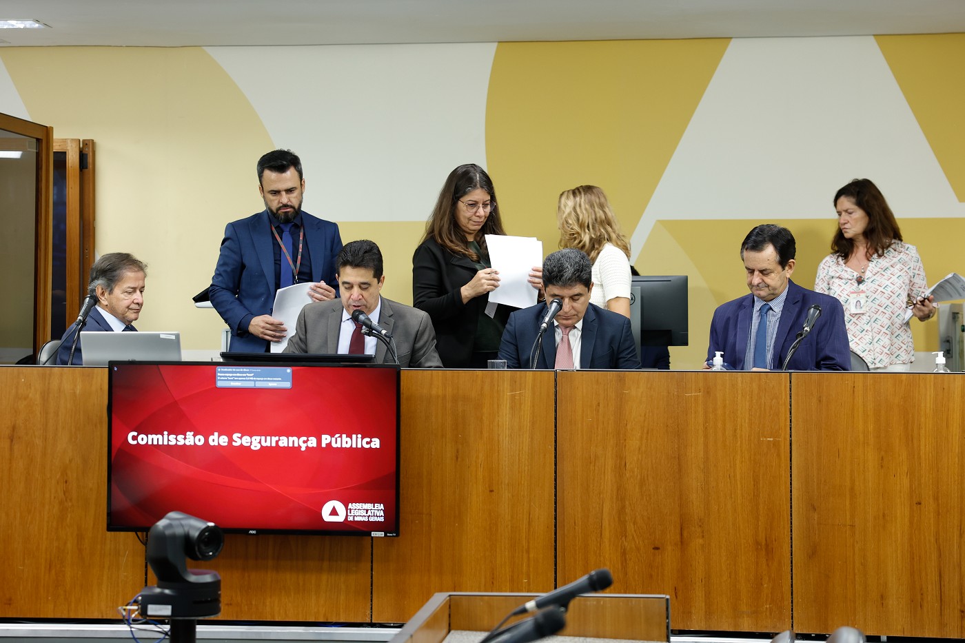 Comissão de Segurança Pública - análise de proposições