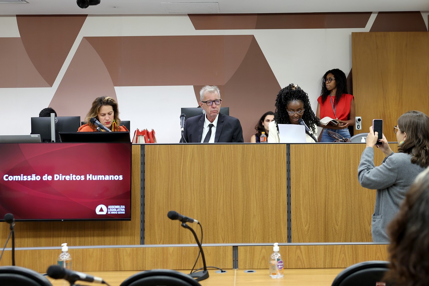 Comissão de Direitos Humanos - análise de proposições