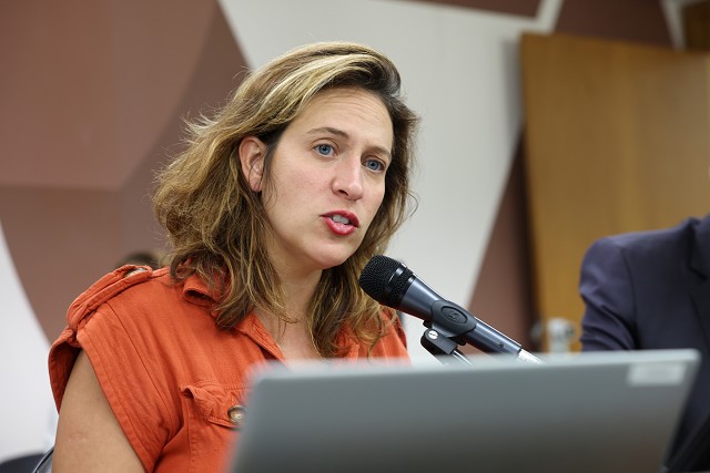 Comissão de Direitos Humanos - análise de proposições