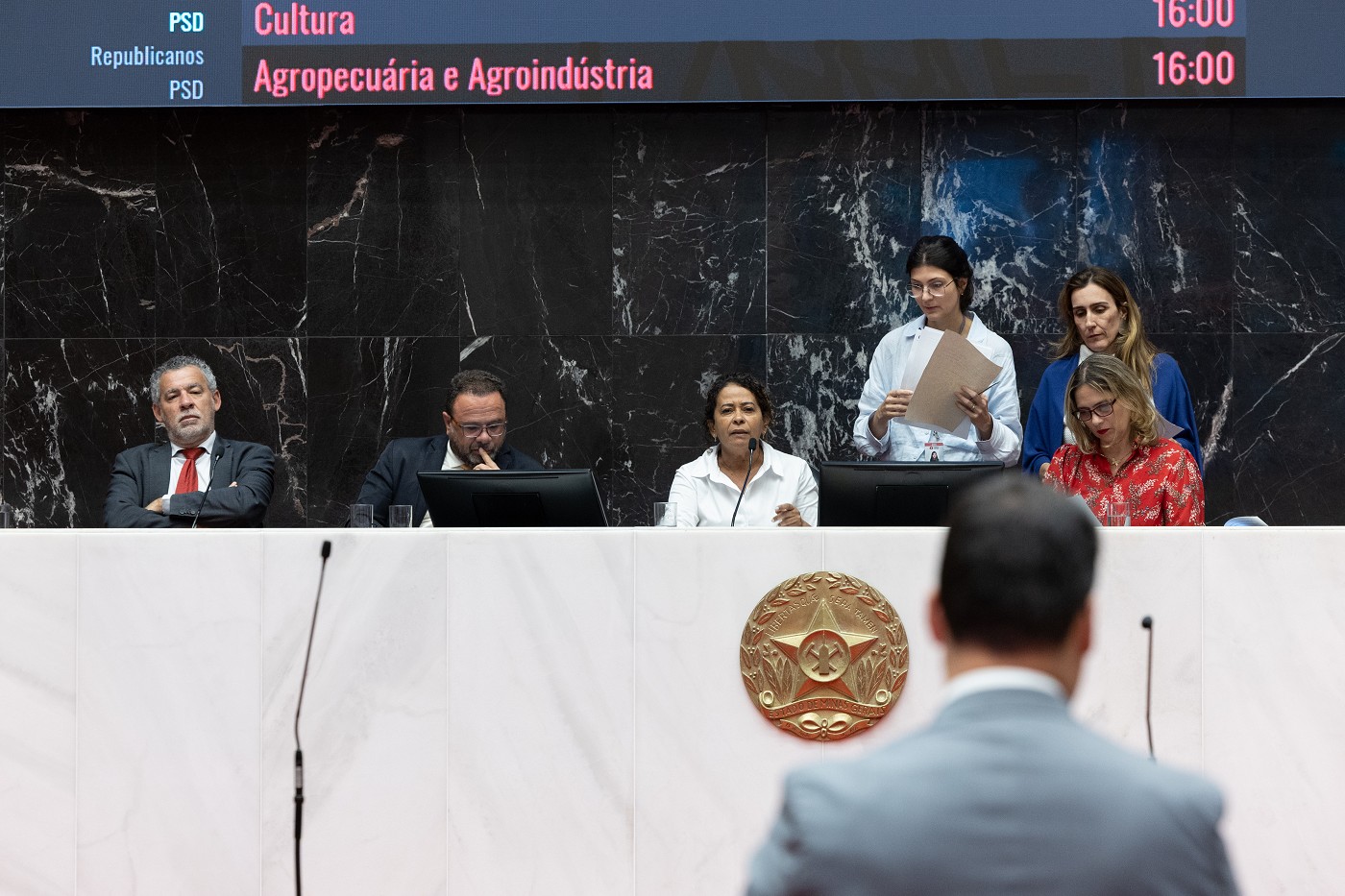 Reunião Ordinária - tarde - análise de proposições