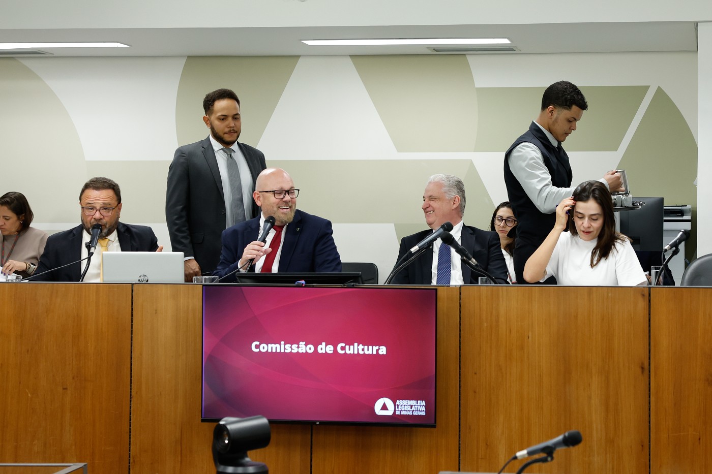 Comissão de Cultura - análise de proposições