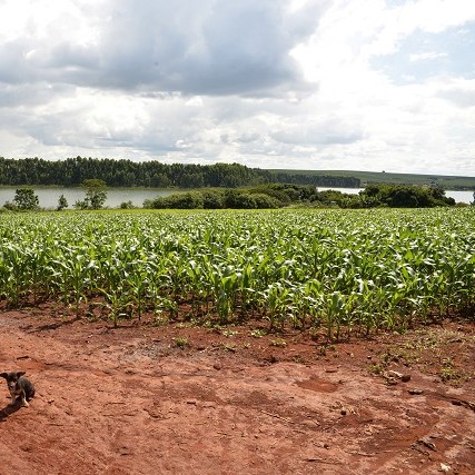 Assistência técnica e extensão rural precisam ser fortalecidas em Minas