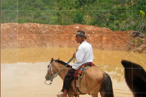 webstory - banner - barraginha