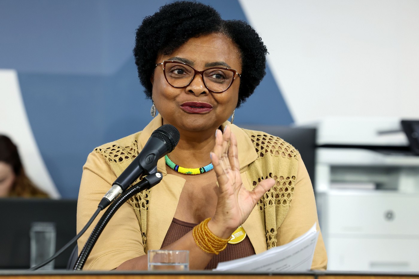 Comissão de Direitos Humanos - debate sobre parlamentos sensíveis a gênero