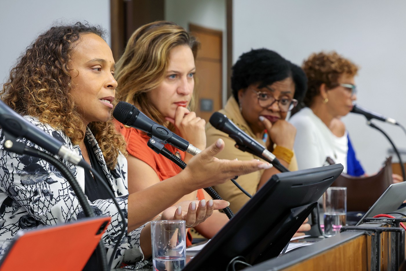 Comissão de Direitos Humanos - debate sobre parlamentos sensíveis a gênero