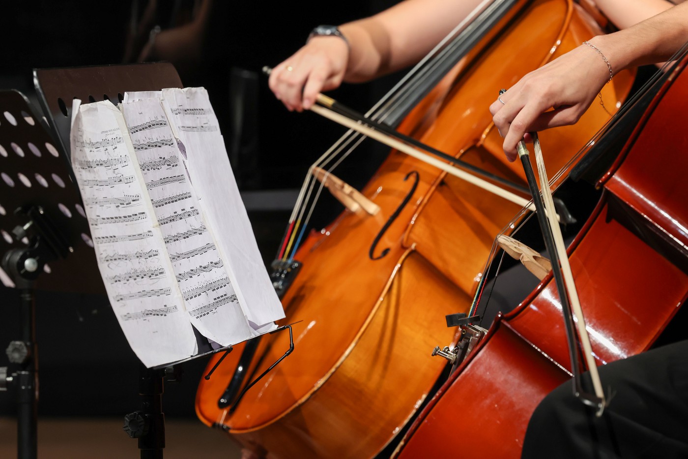 Seleção Segunda Musical 2026