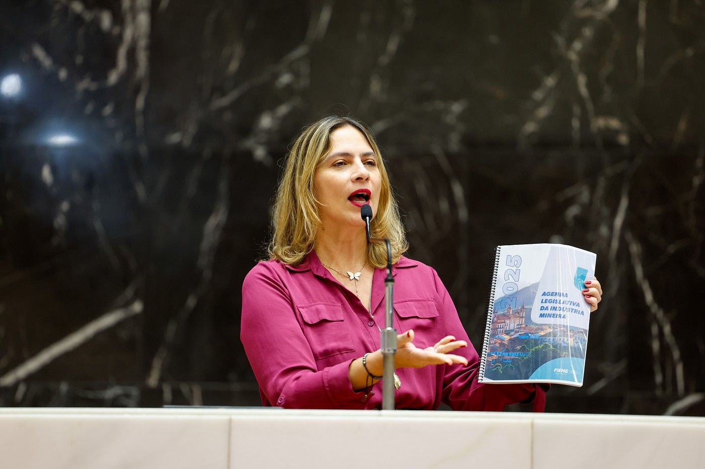 Reunião Ordinária - tarde - análise de proposições