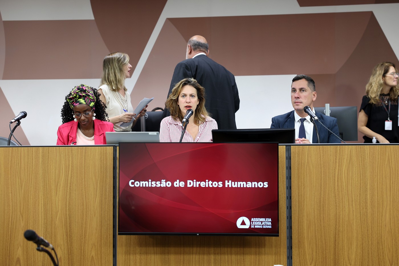 Comissão de Direitos Humanos - análise de proposições