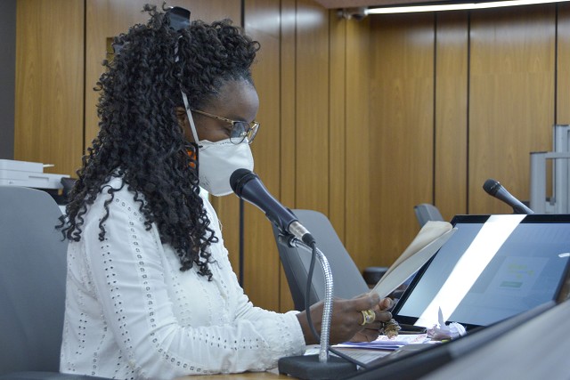 Deputada Andréia de Jesus lembrou que mulheres e crianças estão entre as principais vítimas de armas de fogo