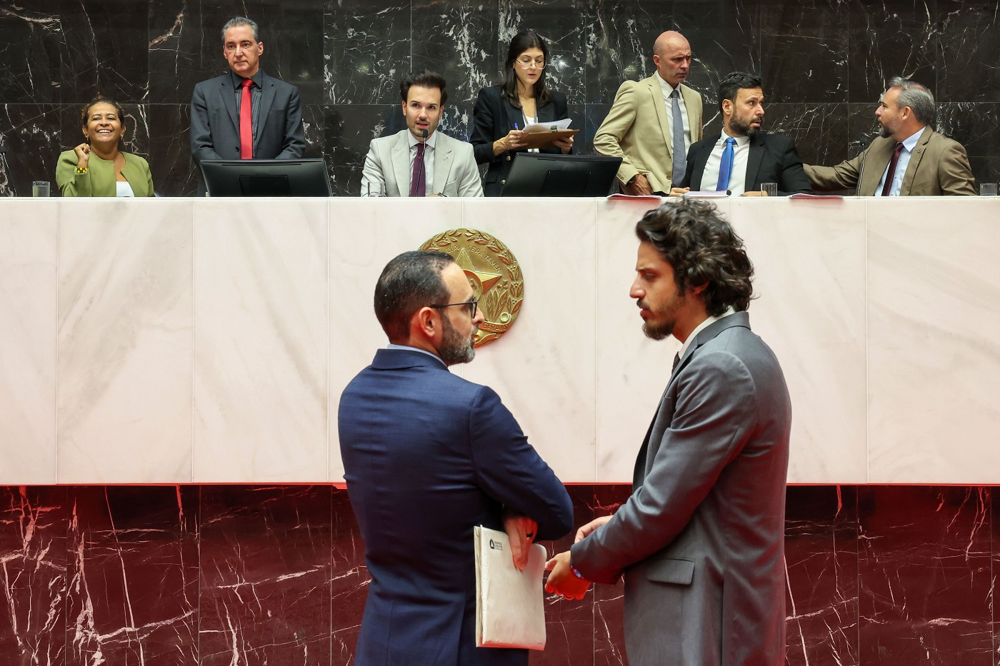 Reunião Ordinária - tarde - análise de proposições