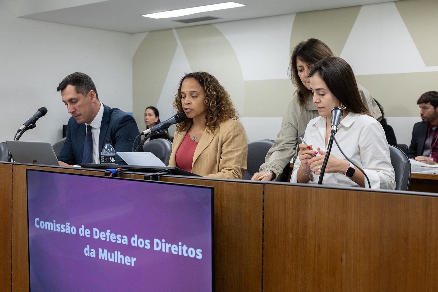 Comissão de Defesa dos Direitos da Mulher - análise de proposições