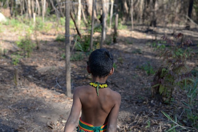 Comissão de Direitos Humanos - visita às aldeias indígenas Naho Xohae e Katuramã