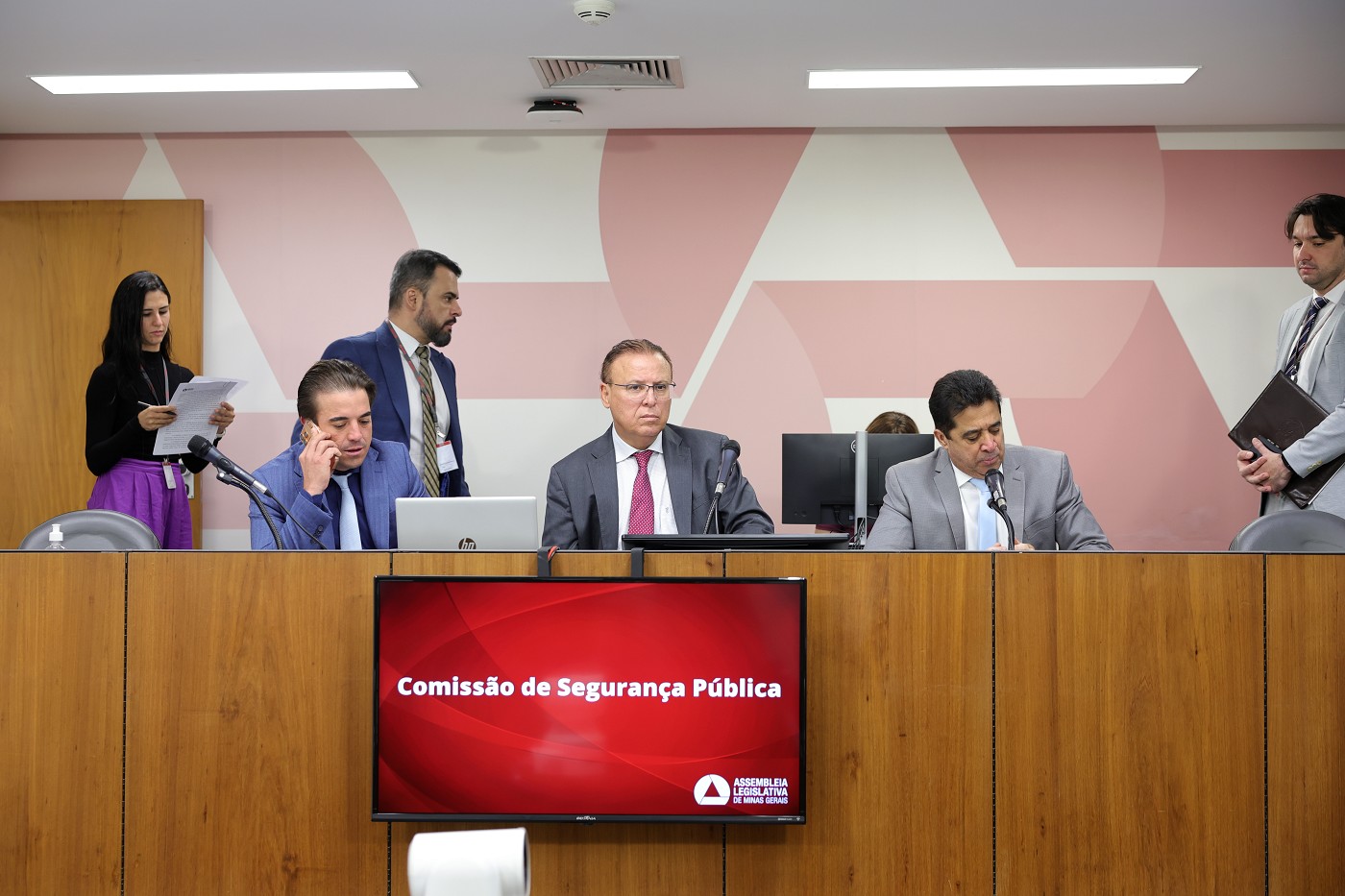 Comissão de Segurança Pública - análise de proposições
