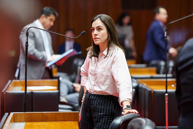 Reunião Ordinária de Plenário - análise de proposições